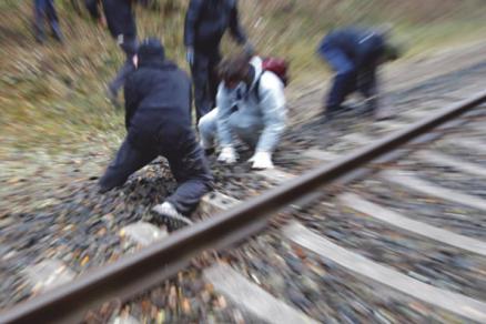 Schottern 2010 Schottern 2010