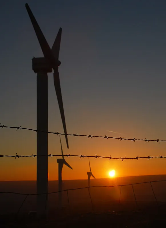 Windfarm Sunset