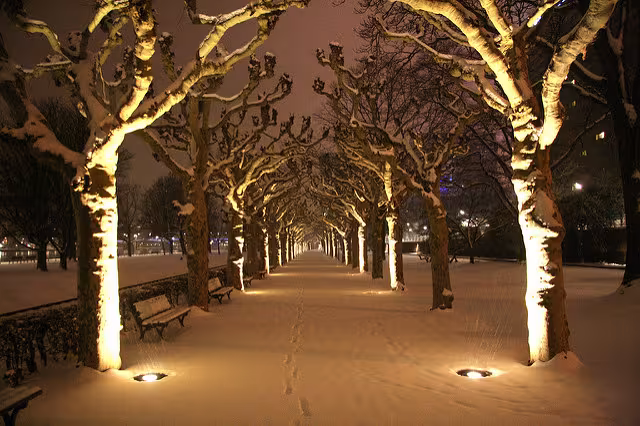 eine verschneite Allee bei Nacht