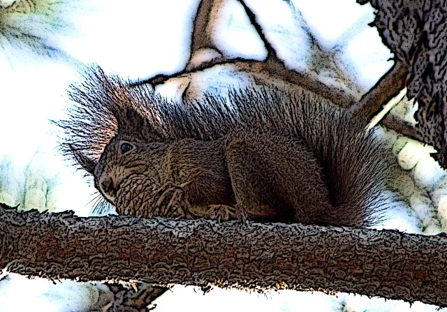 Eichhörnchen auf einem Ast mit einem Tannenzapfen in der Pfote