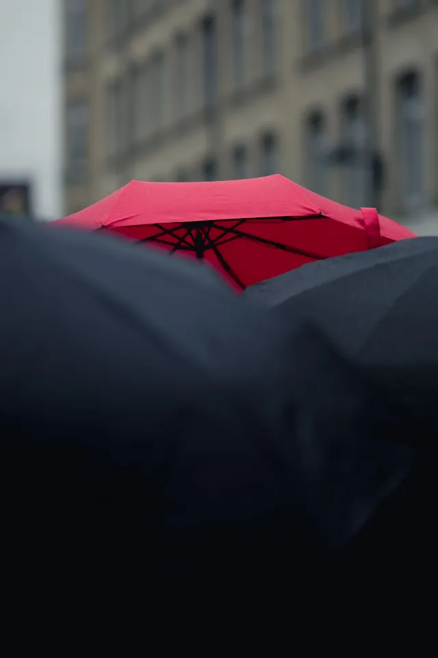 Das Bild: von Craig Whitehead zeigt einen roten Regenschirm. Dieser ist ein Symbol der Internationalen Hurenbewegung.