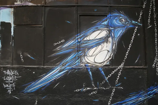 das Vogeltier ist auf der richtigen Seite
