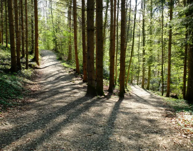 am Scheideweg