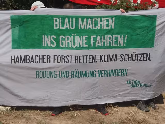 Transparent: Blau machen - ins Grüne fahren!