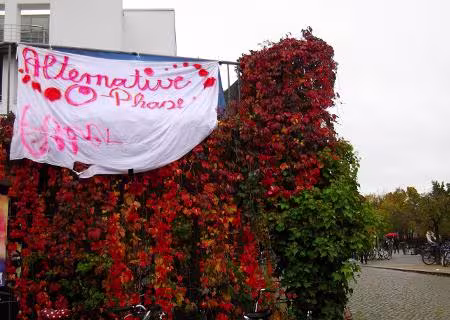 Alternative OPhase Banner hängt über Rosenbusch