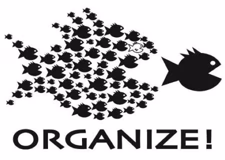 Organize!