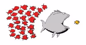 Fische