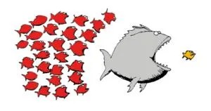 Fische